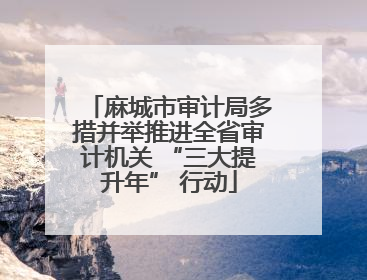 麻城市审计局多措并举推进全省审计机关 “三大提升年” 行动